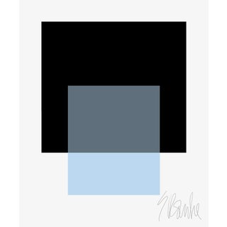 "The Interaction of Black and Powder Blue" Fine Art Print 16" X 20" by Liz Roache For Sale