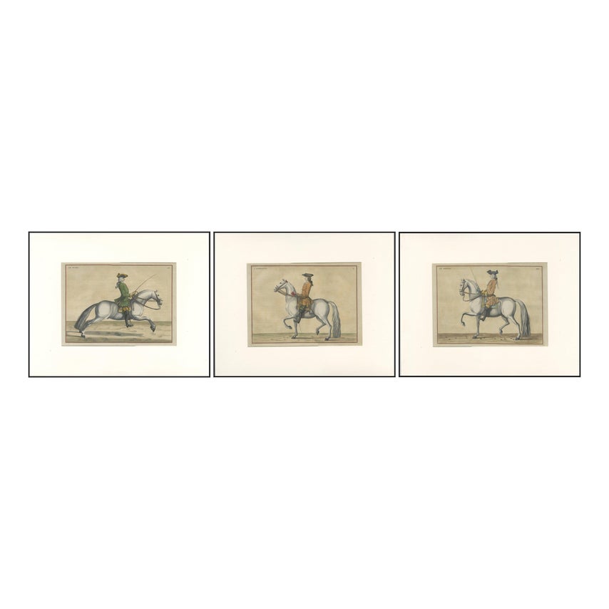 Baroque Dressage Horses Riding School of Baron Deisenberg, 1800s, Paper ...