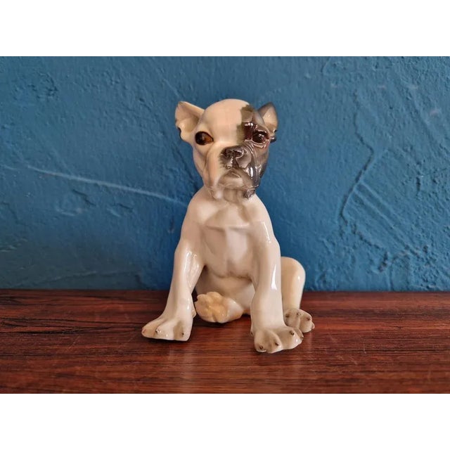 Rare French bulldog depicted as a puppy, hand painted in the royal manufacture of Nymphenburg. This piece has an...