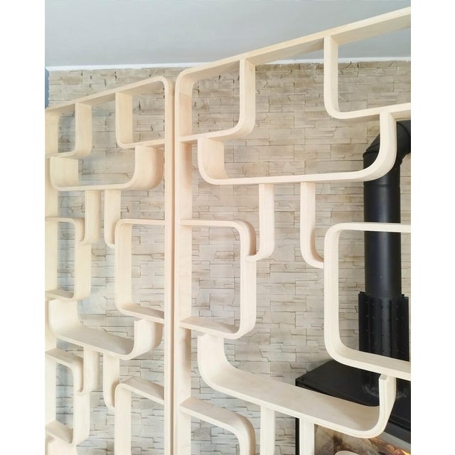 Mid-Century Room Dividers attributed to Ludvik Volak for Drevopodnik Holesov, Czech, 1960s, Set of 2 For Sale - Image 14 of 18