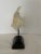 Wood Murex Seashell Mounted on Wooden Display Stand For Sale - Image 7 of 11