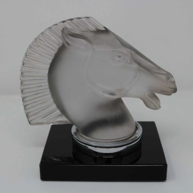 White Rene Lalique Glass 'Longchamp B' Horse Head Mascot For Sale - Image 8 of 13