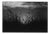 Paul Cooklin, Wild Grasses, Edition of 50 For Sale