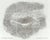 Sguardo Incrociato Poster after Giuseppe Penone For Sale - Image 6 of 6