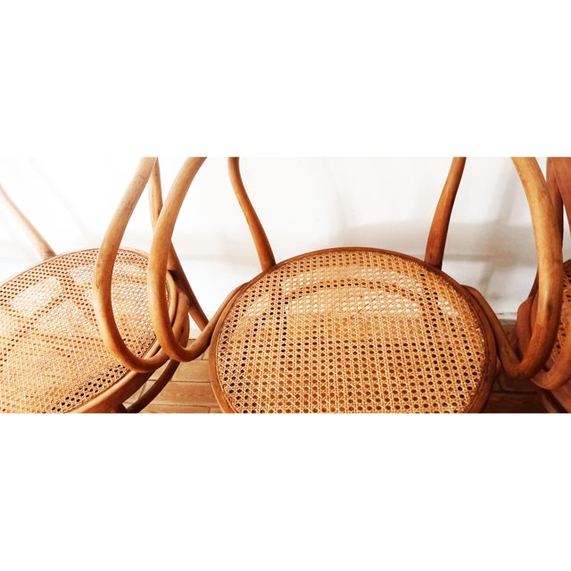 Set of Thonet Model 209 Armchairs by Michael Thonet, 1950s For Sale - Image 3 of 11