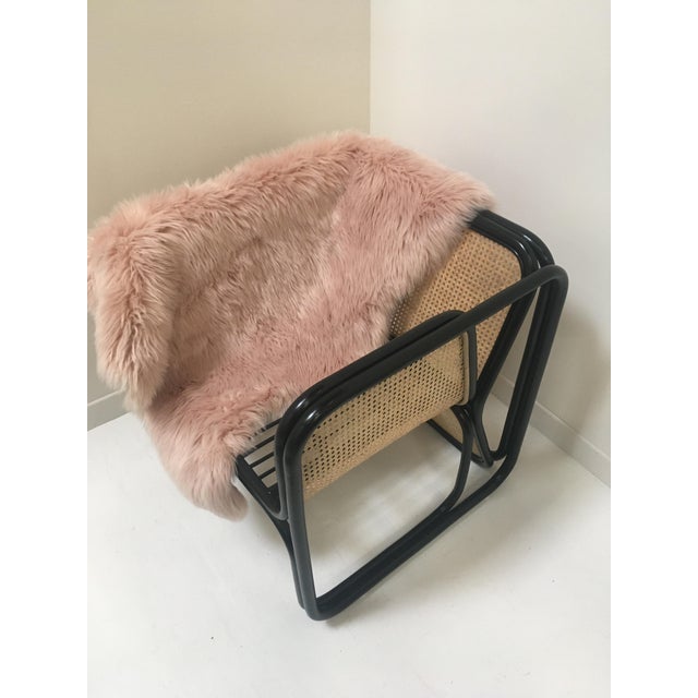 Large Rattan Armchair with Cane Back and Seat For Sale - Image 14 of 16