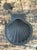 Vintage Italian Black Porcelain Shell Box For Sale - Image 4 of 12