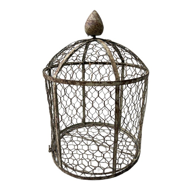 Vintage Indoor Wire Birdcage Garden Cloche For Sale