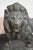 Late 19th Century French Bronze Sculpture of a Lion by Paul Édouard Delabrierre For Sale - Image 4 of 17