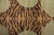 Rug & Kilim Handknotted Stretching Tiger Rug in Lush Sea Green, 2'x3' For Sale - Image 4 of 6