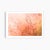 'In the Pink' Set of Botanical Photographs, Series of Four 36 X 24" Fine Art Photography Prints For Sale - Image 14 of 15
