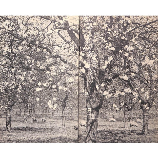 "The Countryman's England" 1935 Hartley, Dorothy For Sale - Image 9 of 9