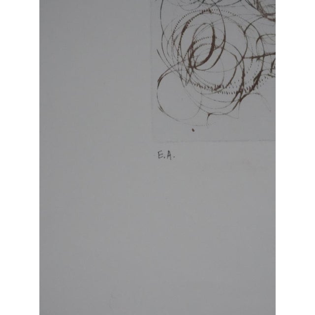 Salvador Dali, Shakespeare: Julius Caesar, Photogravure For Sale - Image 4 of 9