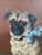 English Antique Dog Oil Painting Moody Portrait of a Pug For Sale - Image 3 of 12
