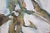An impressive, large-scale original mixed media painting by celebrated American abstract artist Jonas Gerard (1941–2020),...
