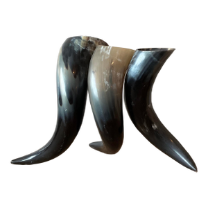 Vintage Boho Horn Trio Vase