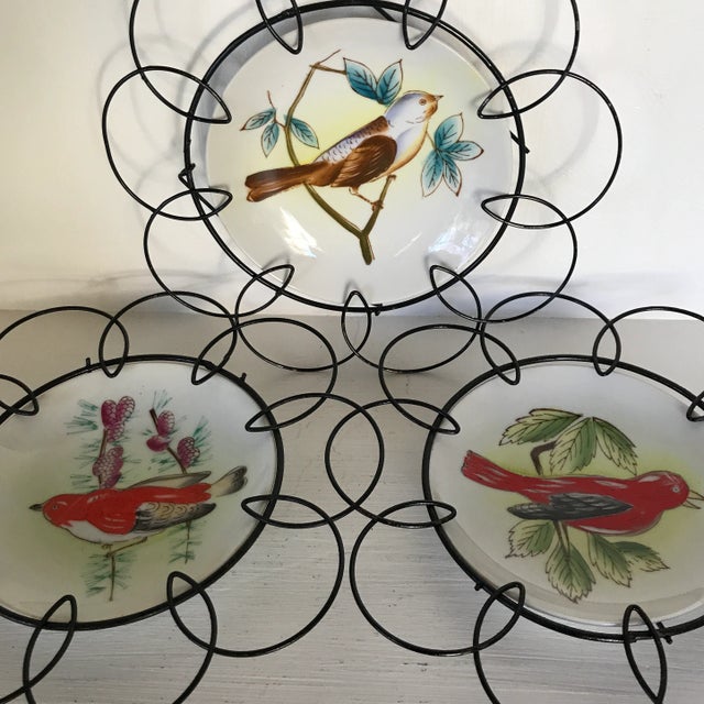 Hand Painted Birds on Porcelain Plates in Floral Pattern Wire Frame - Set of 3 For Sale - Image 11 of 13