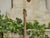 Gilt Wood Tramp Art French Folk Mirror With Raised Pyramidal Motifs, Circa 1900 For Sale - Image 12 of 15