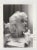 Marilyn Monroe Print of 1988 from Original Negative, 1955 For Sale