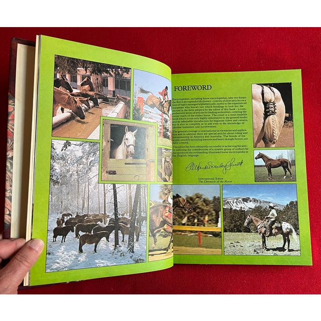 Fine Red Leather Binding - Encyclopedia of the Horse - Book by Elwyn Hartley Edwards - Single Volume For Sale - Image 9 of 13