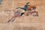 Tan Vintage Chinese Pictorial Area Rug, Handwoven Wool on Cotton, Tan & Blue, 4' x 6' For Sale - Image 8 of 13