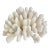 Natural Pacific Elk Coral Coastal Home Decor For Sale