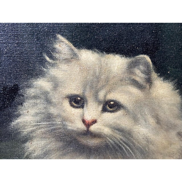 British Persian Cat Oil Painting by Agnes Augusta Talboys Rwa With Decorative Tea Service For Sale - Image 14 of 18