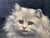 British Persian Cat Oil Painting by Agnes Augusta Talboys Rwa With Decorative Tea Service For Sale - Image 14 of 18