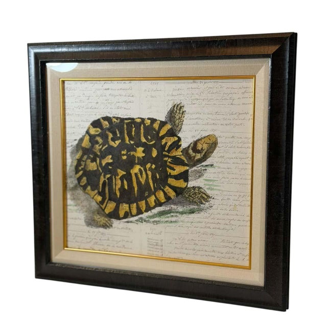French French Hand Painted Tortoise on Household Ledger Paper Dated 1837 For Sale - Image 3 of 4