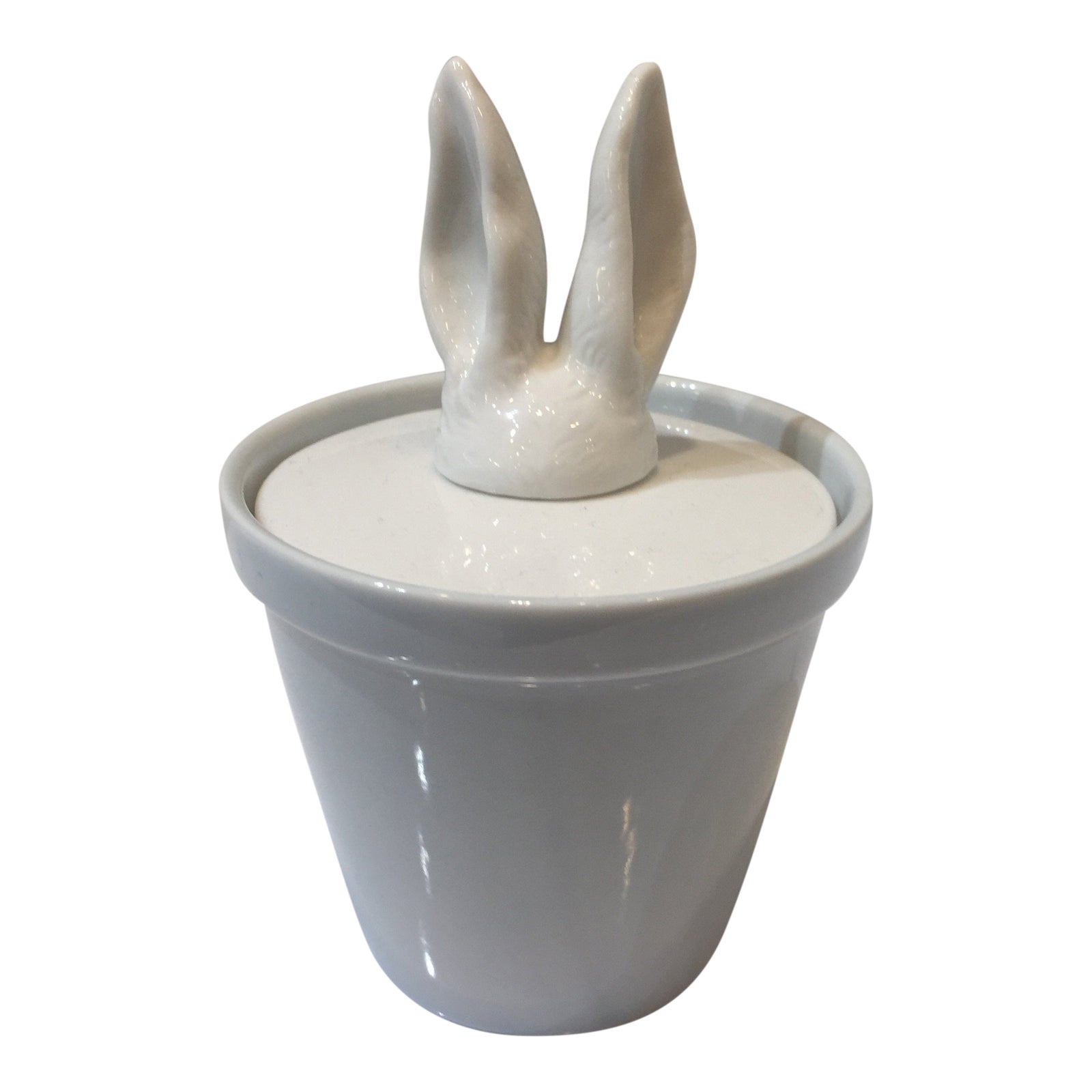 Imm Carousel Ceramic Rabbit Ears Jar Chairish