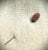 Antique 9k Gold Victorian Goldstone Oval Stickpin, Lapel Pin For Sale - Image 9 of 9