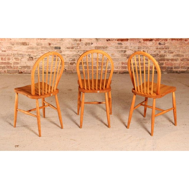 Mid-Century Modern Chairs in Elm and Beech from Ercol, 1950s, Set of 3 For Sale - Image 10 of 12