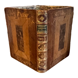 Antique 19th Century French Leather Bound Book Form Library Waste Paper Basket or Box for the Desk