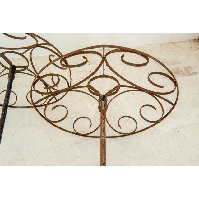 Set of Four French garden Rose Trees For Sale - Image 11 of 12