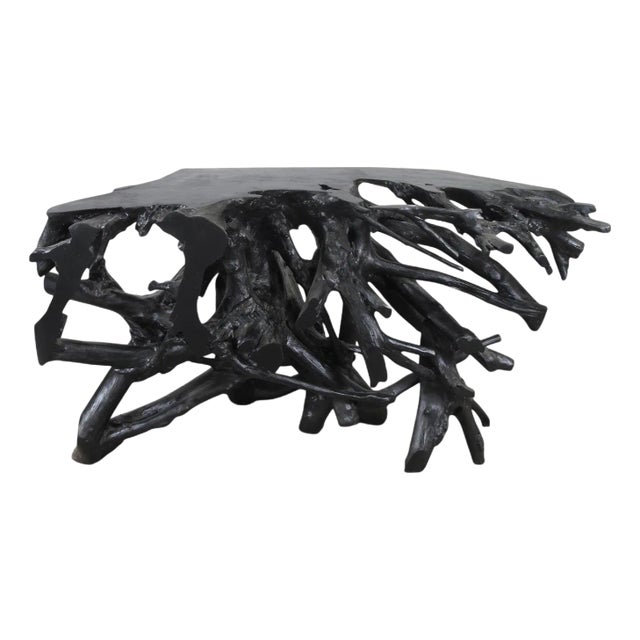 Black Teak Root Console Table For Sale