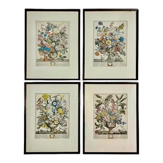 Late 20th Century Framed Prints, 12 Months of Flowers by Robert Furber Orig. 1730 - Set of Four For Sale