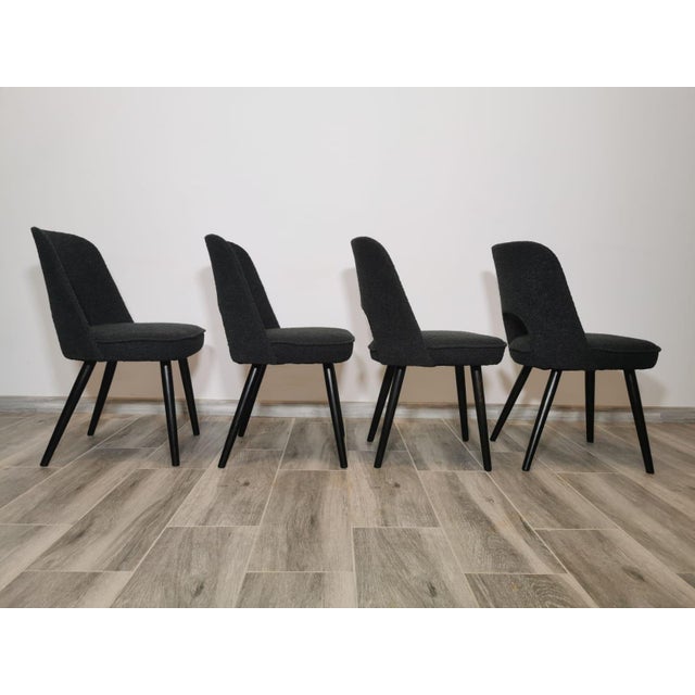 Dining Chairs by Oswald Haerdtl for Ton, 1950s, Set of 4 For Sale - Image 14 of 18
