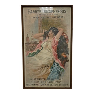 Vintage Barrys Tricipherous Advertisement Poster Print, Framed For Sale