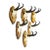 Set of Six Chamois Trophies on Birch Slices Germany Ca. 1960s For Sale