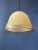 Space Age Pendant Lamp by Franco Bresciani, 1970s For Sale - Image 11 of 11
