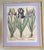Delightful 1960’s re-strike lithograph of Iris Flowers. Original copper lithograph by Basilius Besler (1551-1629) This...