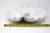 1990s Vintage Italian Ceramic Scallop and Conch Shell Serving Platter or Bowl Made in Italy For Sale - Image 5 of 7