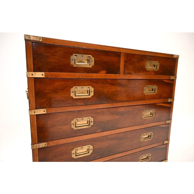 Brown Vintage Military Campaign Style Chest of Drawers in Yew Wood, 1930 For Sale - Image 8 of 10