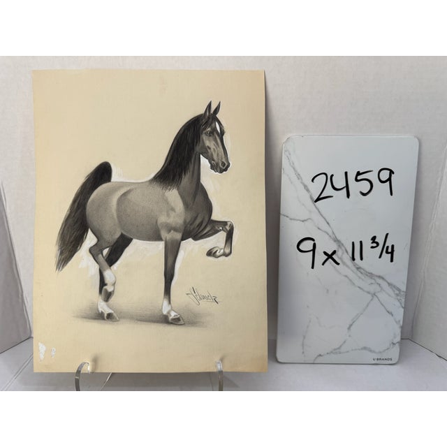 1950s Original Signed Graphite Illustration of Prancing Horse Study, 11.75 X 9 In. For Sale In Atlanta - Image 6 of 6