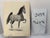 1950s Original Signed Graphite Illustration of Prancing Horse Study, 11.75 X 9 In. For Sale In Atlanta - Image 6 of 6