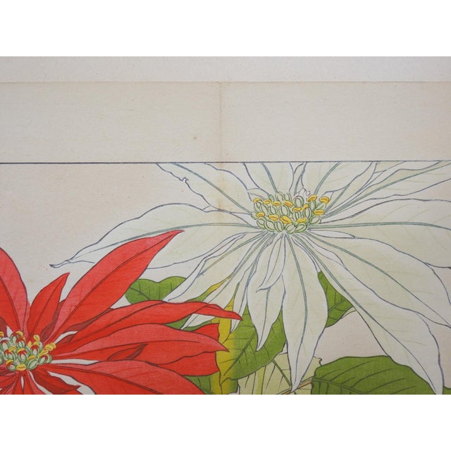 Early 20th Century Tanigami Konan Poinsettia Japanese Woodblock Print For Sale In Seattle - Image 6 of 6