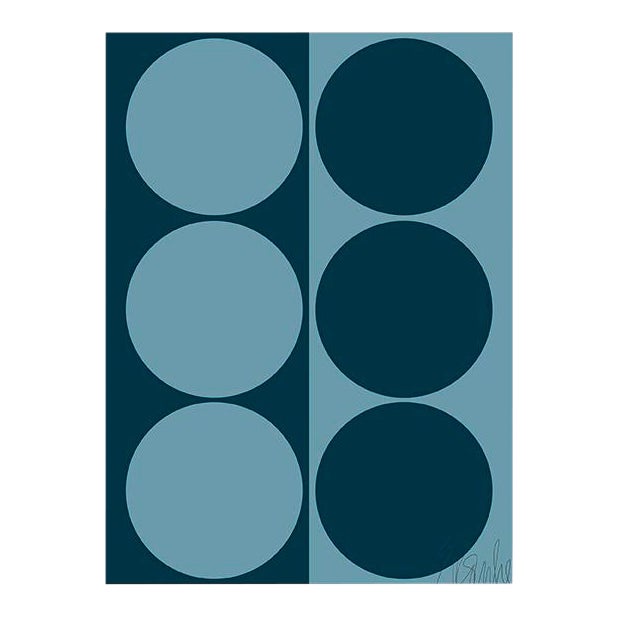 Dynamic Pair Teal Fine Art Print 21.25" X 30" by Liz Roache For Sale