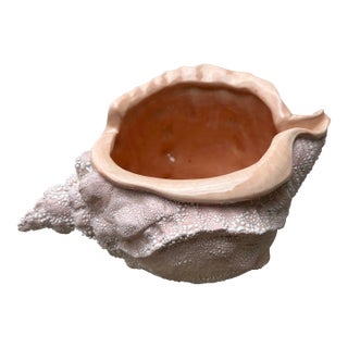 Vintage Conch Shell Bowl Dish Planter For Sale