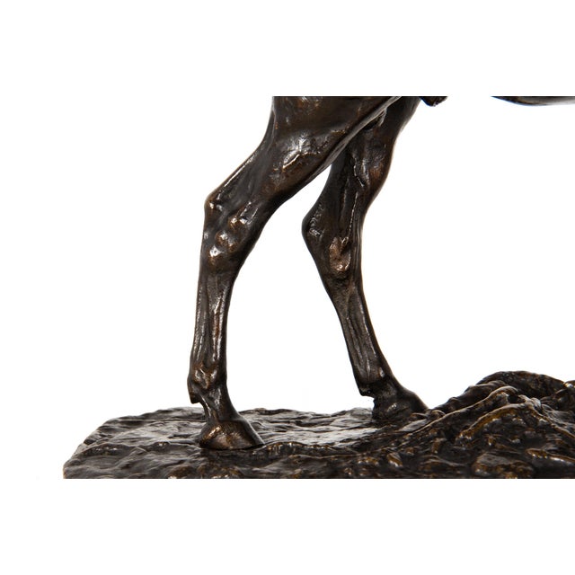 Brown French Antique Bronze Sculpture of Ibrahim, Arabian Stallion by Pierre Jules Mene For Sale - Image 8 of 16