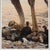 A Framed Lithograph Titled "Hatchlings" by John S. Lester is a rare, detailed print depicting ostrich hatchlings with...